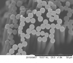 Cliché MEB d’une fibre de carbone